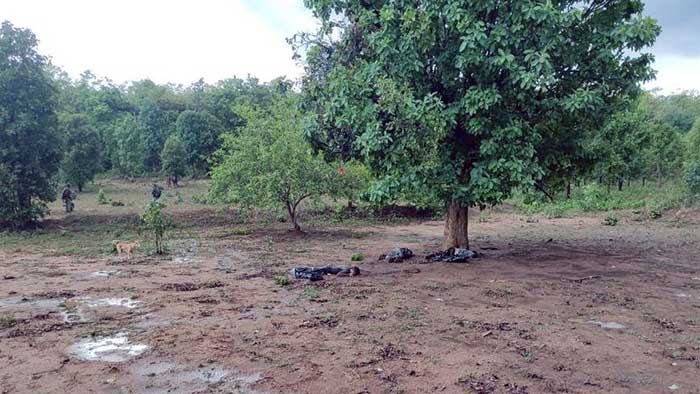 3 CRPF jawans killed in Maoists ambush in Odisha's Nuapada
