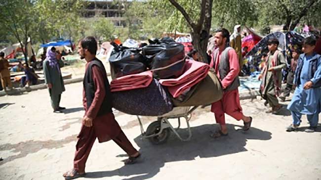 500,000 Afghans may leave in next 4 months: UNHCR