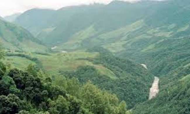 Two more missing Assam workers found in Arunachal forests after 20 days