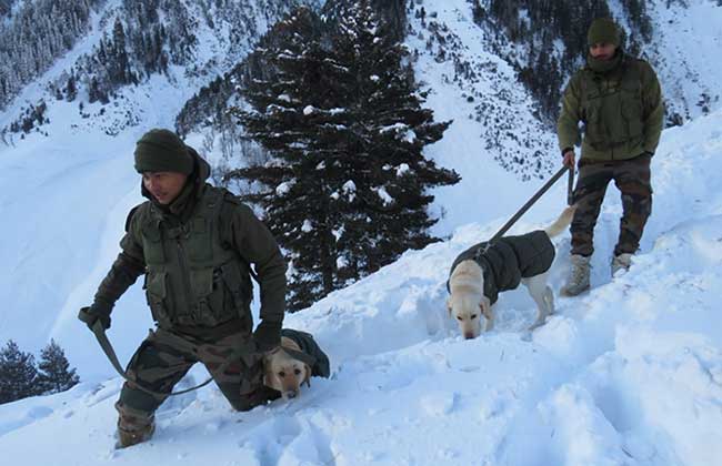 Army rescues 172 stranded workers after J&K avalanche