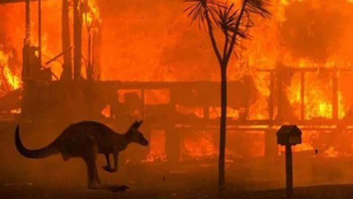 Aus bushfires smoke reaches Chile