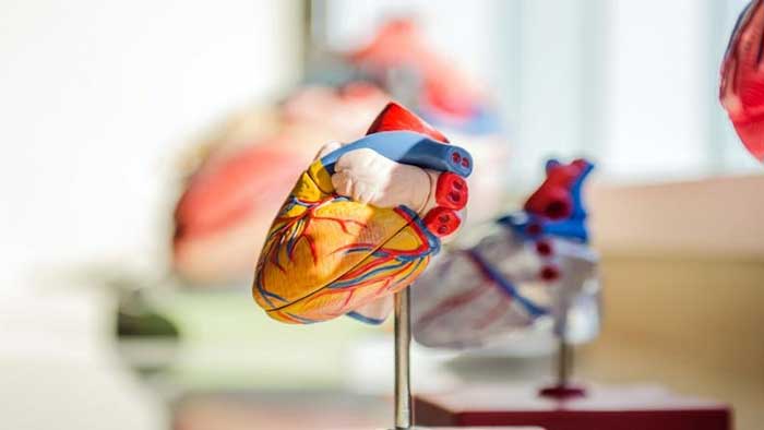 Covid-19 could cause long-lasting damage to heart: Doctors