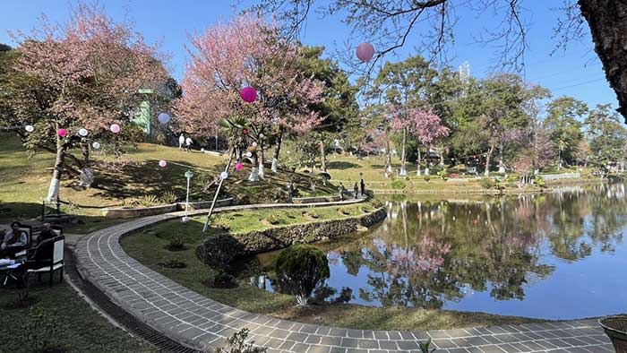 3-day Cherry Blossom Festival kicks off in Shillong