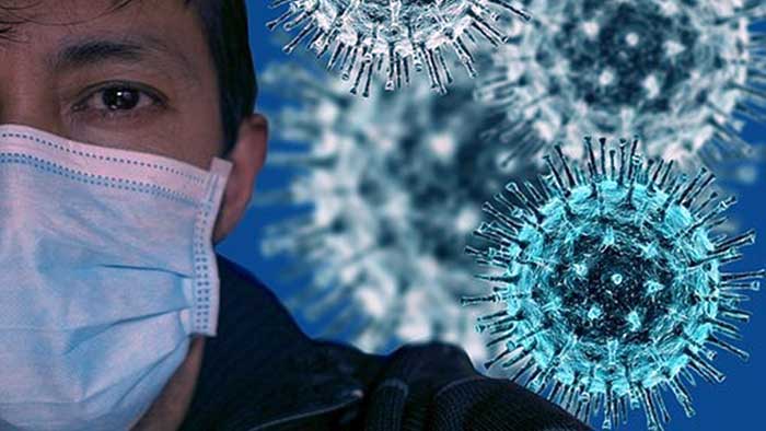 Exposure to harmless coronaviruses boosts SARS-CoV-2 immunity: Study
