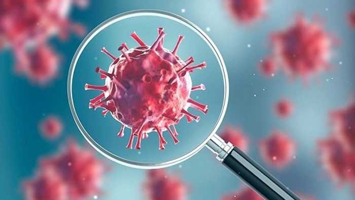 Coronavirus has mutated into at least 30 variants: China study