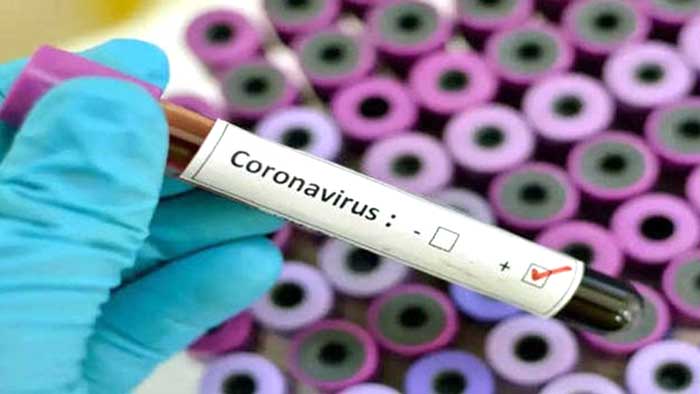 France says no link between origin of COVID-19, Wuhan lab