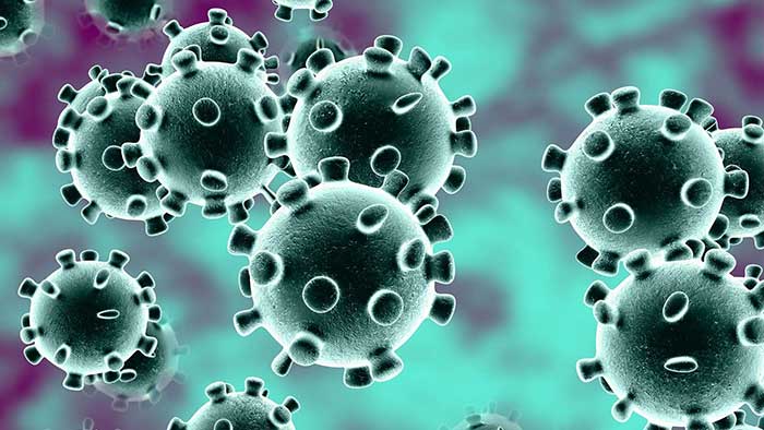 Anti-parasitic drug killed coronavirus within 48 hours in lab