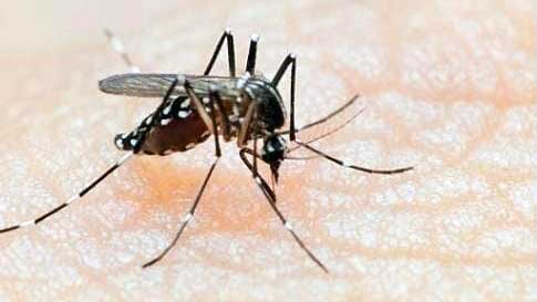 Dengue turning out to be money spinner for pvt hospitals in Bihar
