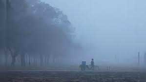 Dense to very dense fog over Northwest, parts of adjoining Central India: IMD