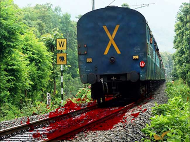 Goods train wagons run over eight workers in Odisha, six killed