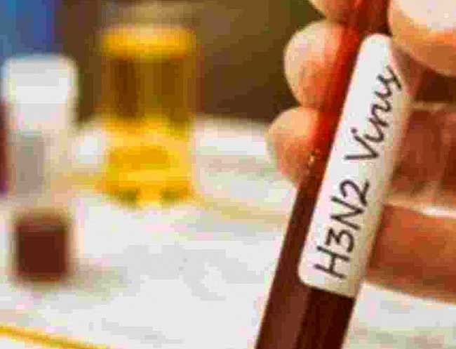 Karnataka records its first H3N2 variant death