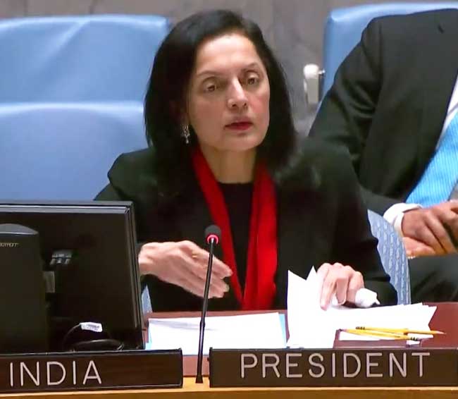 India demands UNSC reform documents name opponents of African permanent seats