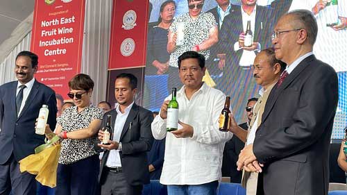 Meghalaya govt to promote wine industry to boost tourism, entrepreneurship: CM Sangma