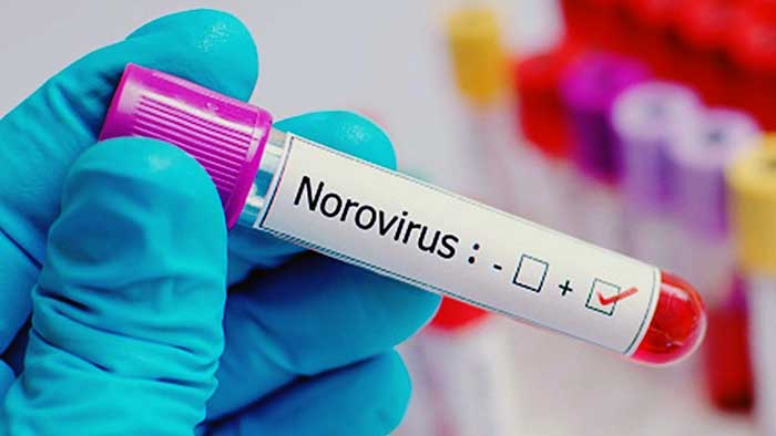 Norovirus outbreak in Kerala: K'taka on high alert