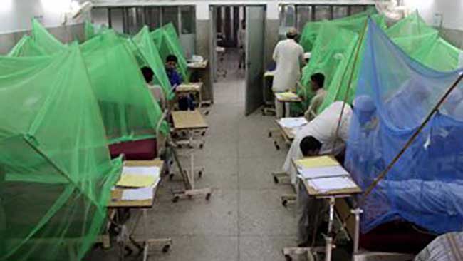 Pakistan faces shortage of fever medicines amid dengue outbreak