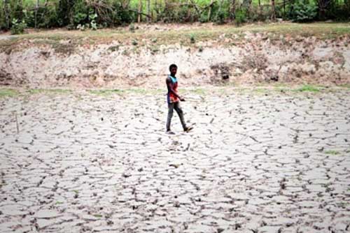 Poor rain raises fears of drought-like situation in MP, Chouhan chairs emergency meeting