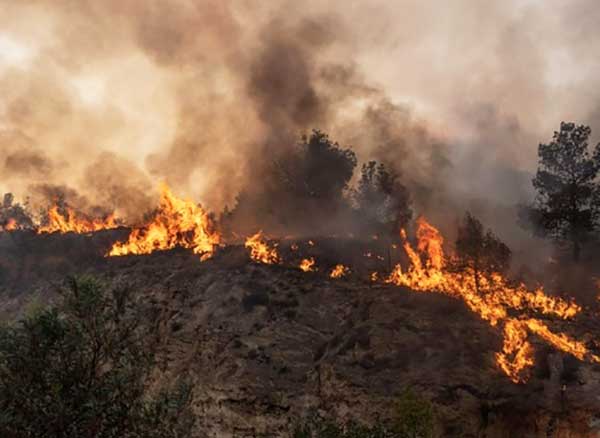 Portugal records less rural fires in 2023