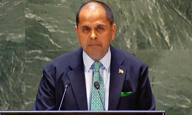 Abolish veto rights or give them to new permanent members in reformed UNSC: India