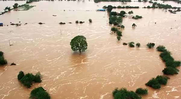 Rajasthan's Hanumangarh district braces for flood