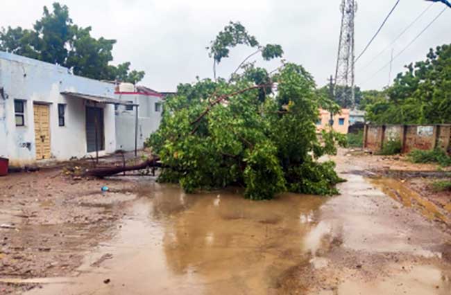 Restoration of essential services underway in cyclone-hit Kutch