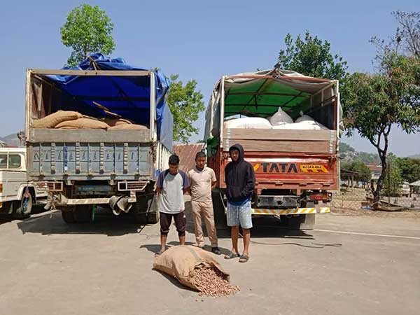 Smuggled from Myanmar, areca nut valued at Rs 31.73 cr seized in 100 days in NE