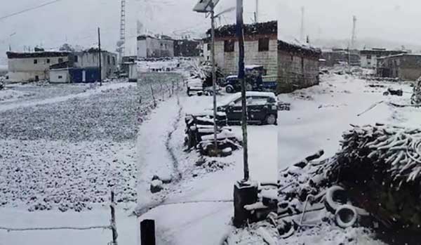 Snowfall hampers rescue operation, 250 stranded in Himachal high slopes