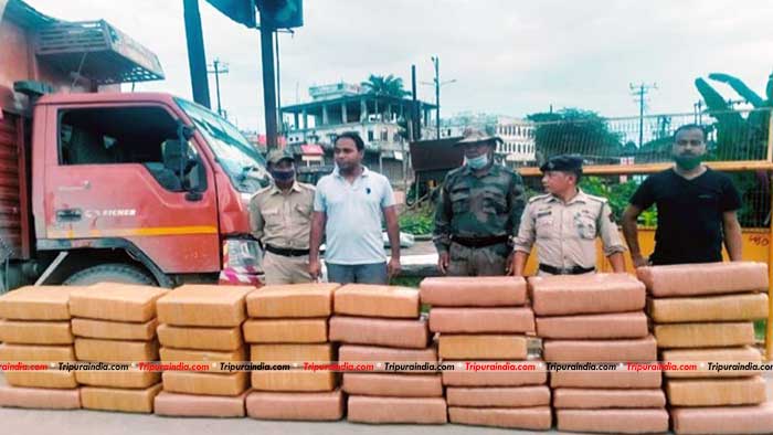 Teliamura police recovered cannabis worth Rs. 20 lakh