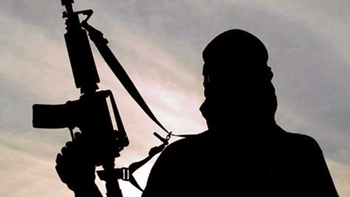 8 IS militants killed in anti-terror operations in Iraq