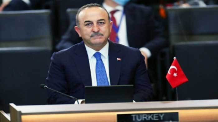 Turkey expects concrete steps from Sweden, Finland for NATO's bids: FM