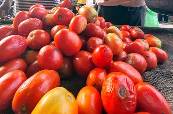Vehicle transporting tomatoes to market robbed in B'luru