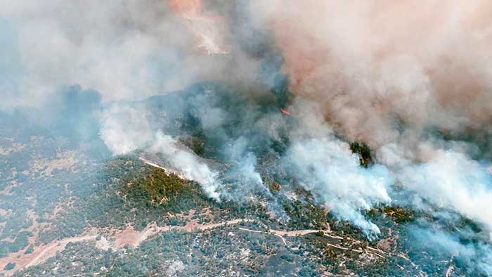 Wildfires surrounding California's sequoia groves spread to almost 40K acres