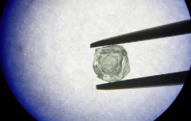 Woman, collecting firewood, finds 4.39 carat diamond in MP's Panna