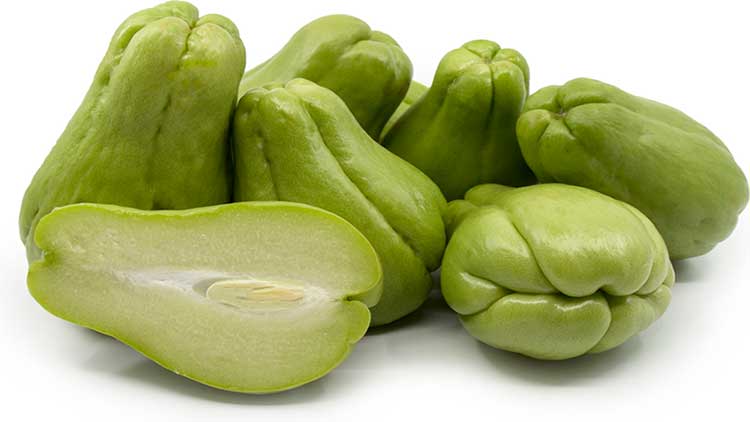 Mexican scientists develop hybrid chayote fruit to battle cancer