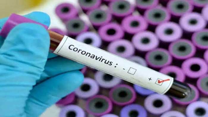 Ireland reports record high of COVID-19 deaths in single day