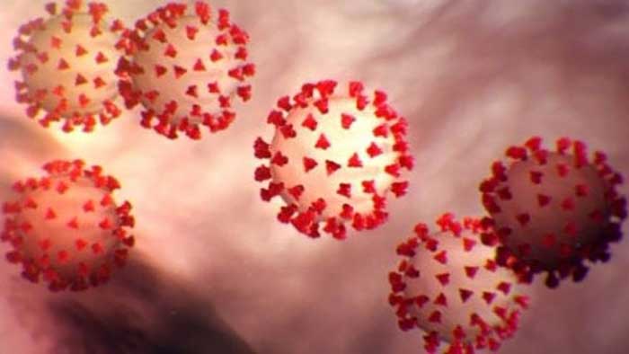 Researchers develop coating that kills corona virus in 1 hour