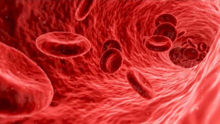 Covid virus may block formation of key red blood cells