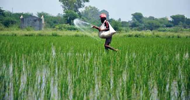 Govt to push alternative plant nutrients to cut fertiliser subsidy load by 50%