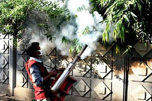 Bangladesh's dengue death toll passes 350, with 101 new deaths in August