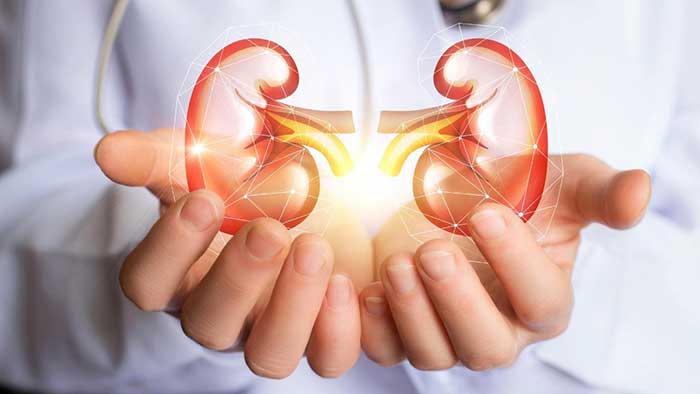 Greater risks of kidney disease if you have diabetes and high BP, say health experts on World Kidney Day