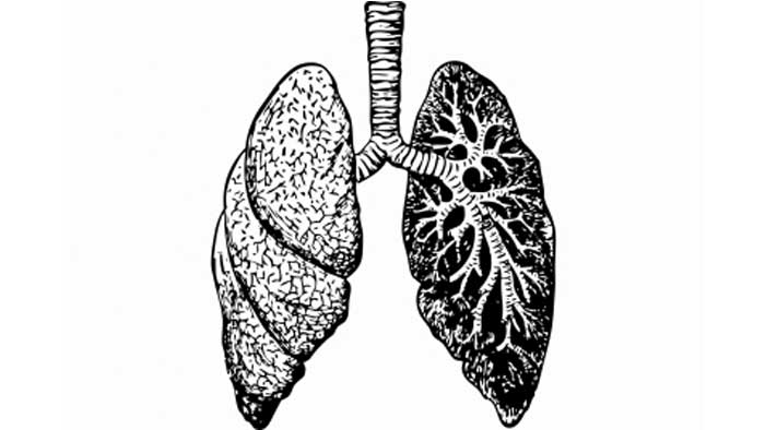 Most lungs recover well in 3 months after Covid: Study