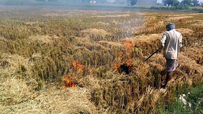 Farmers involved in stubble burning to be fined Rs 2500/acre in Gurugram