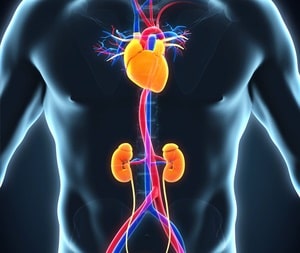 8 out of 10 people with ruptured aortic aneurysm don’t reach hospital alive: Docs