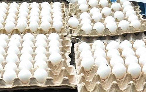 Bangladesh slashes egg import duties, from 25 to 5 percent