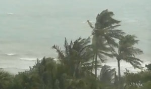 Dana intensifies into severe cyclonic storm, to hit Odisha coast between Bhitarkanika and Dhamra