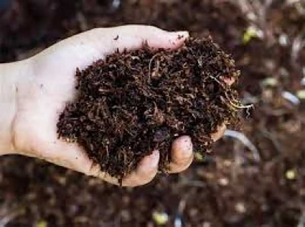 Govt faces uphill task to raise fertiliser output amid high import dependency