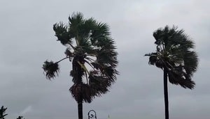 Impact of cyclone ‘Dana’ on Jharkhand: Heavy rains, schools closed in Kolhan division