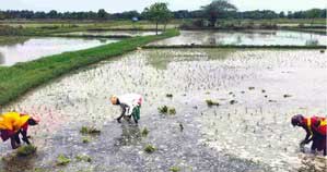 India's farm sector has clocked robust growth on the back of govt schemes: Economic Survey