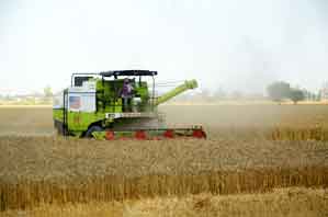 India’s agriculture & allied sector clocks 54.6 per cent jump in output from 2011–12 to 2023–24 India’s agriculture & allied sector clocks 54.6 per cent jump in output from 2011–12 to 2023–24