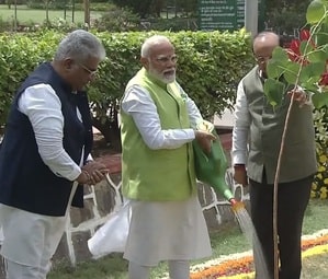 On World Environment Day, PM Modi's 'Ek Ped Maa Ke Naam' campaign
