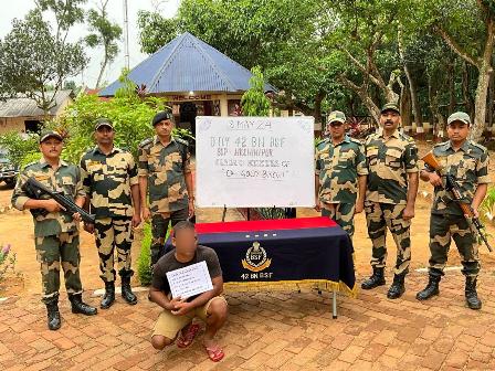 One held with gold biscuits worth Rs 36 lakh